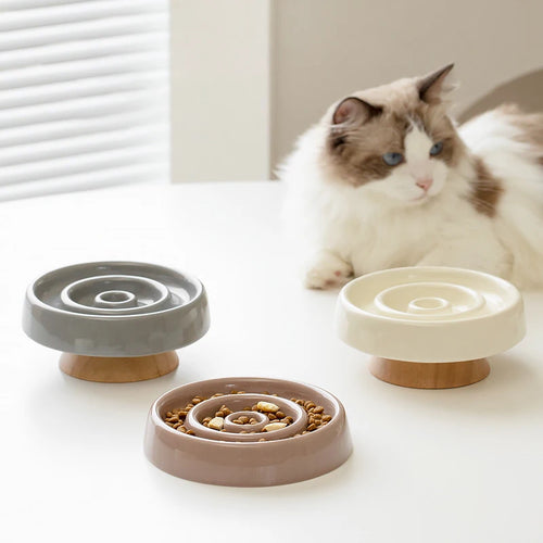 Pet Ceramic Slow Feeder Bowl Anti-Gulping Cat Food Dish Bowls Puppy Dogs Slow Feeding Supplies
