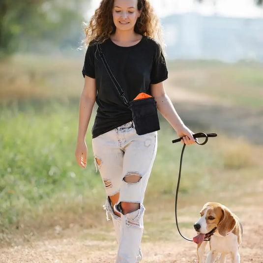 Dog Treat Pouch Pet Training Behavior Dog Walking Bag Puppy Training Pouch Drawstring Closure dog Bag With Waist Prevent  Clip
