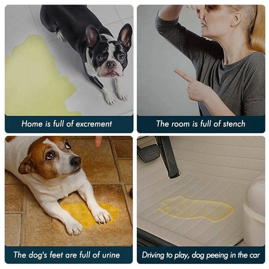 Waterproof Pet Urine Pad, Washable Cat Bed, Reusable Urine Pad, Furniture